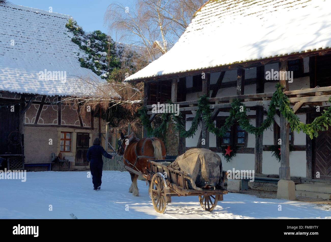 Francia, Haut Rhin, Ungersheim, Natale all'Ecomusée d'Alsace (legale di riferimento), un museo dedicato alle tradizioni alsaziano Foto Stock