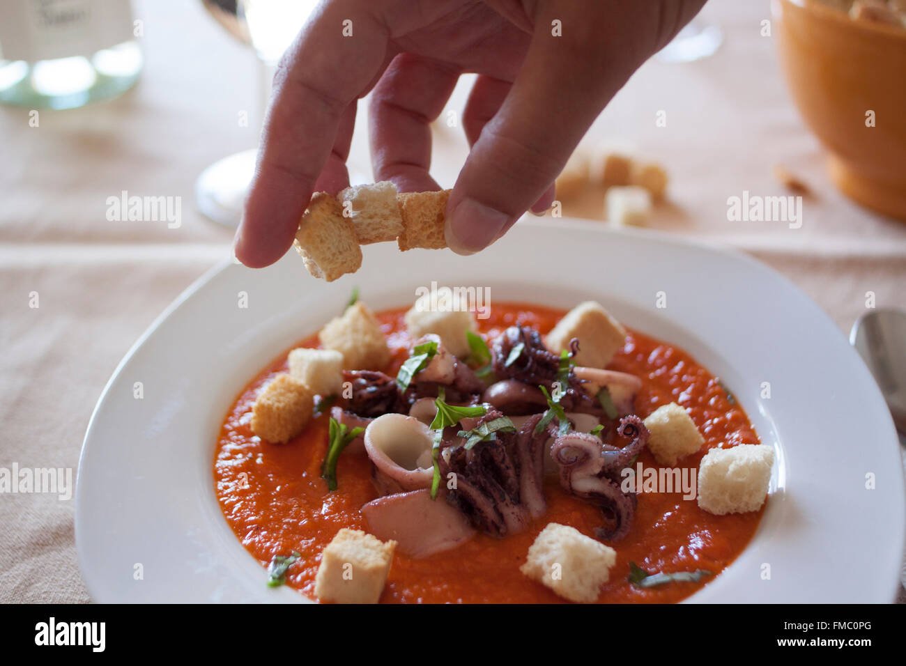 Calamari in salsa di pomodoro Foto Stock