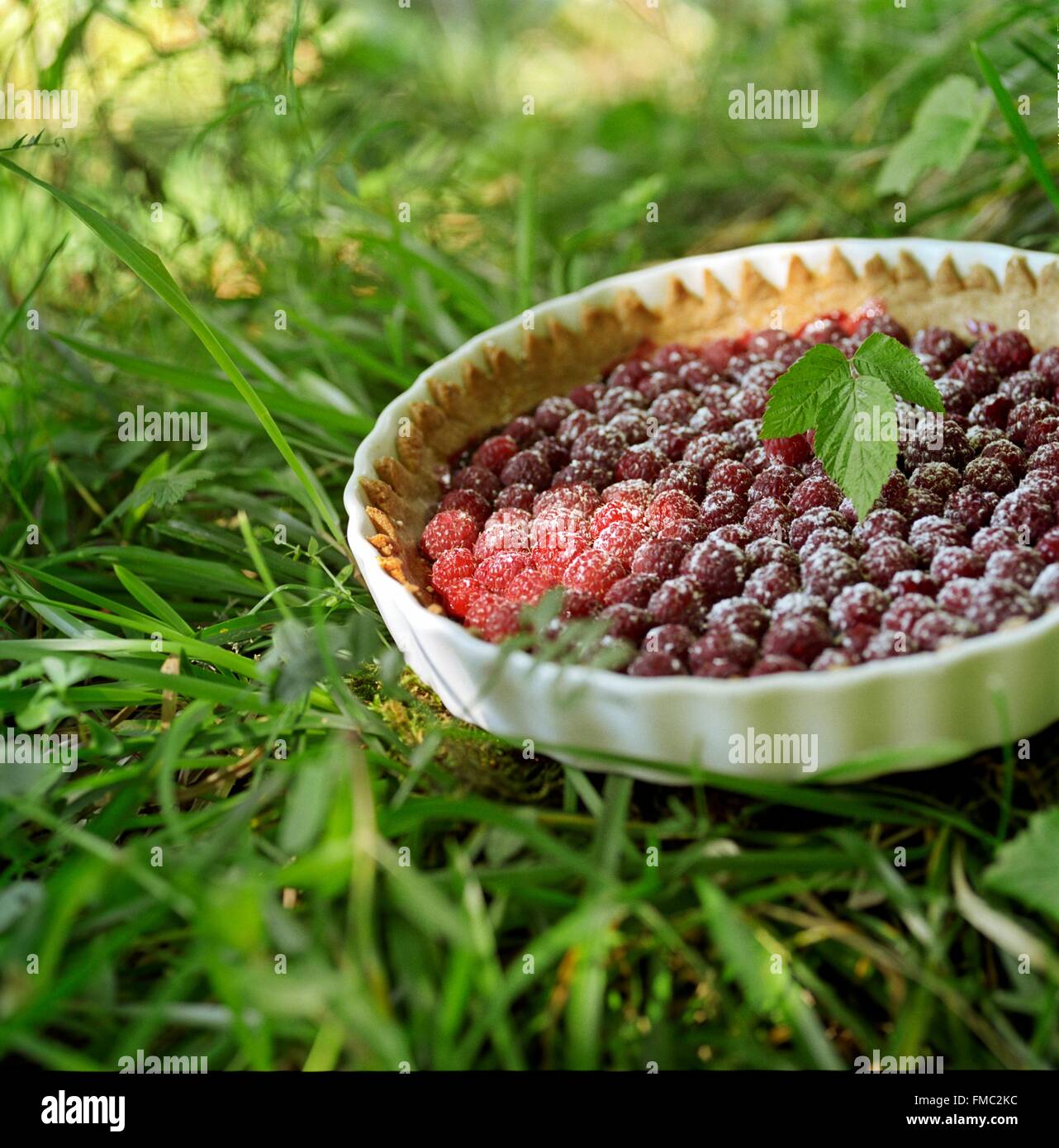 Francia, selvaggi crostata al lampone Foto Stock