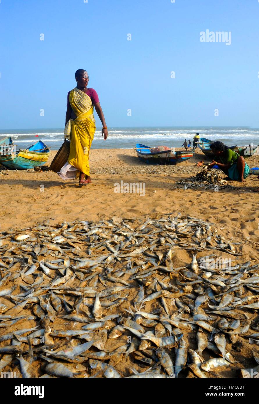 India, Odisha, Chandrabhaga, il villaggio di pescatori di Foto Stock