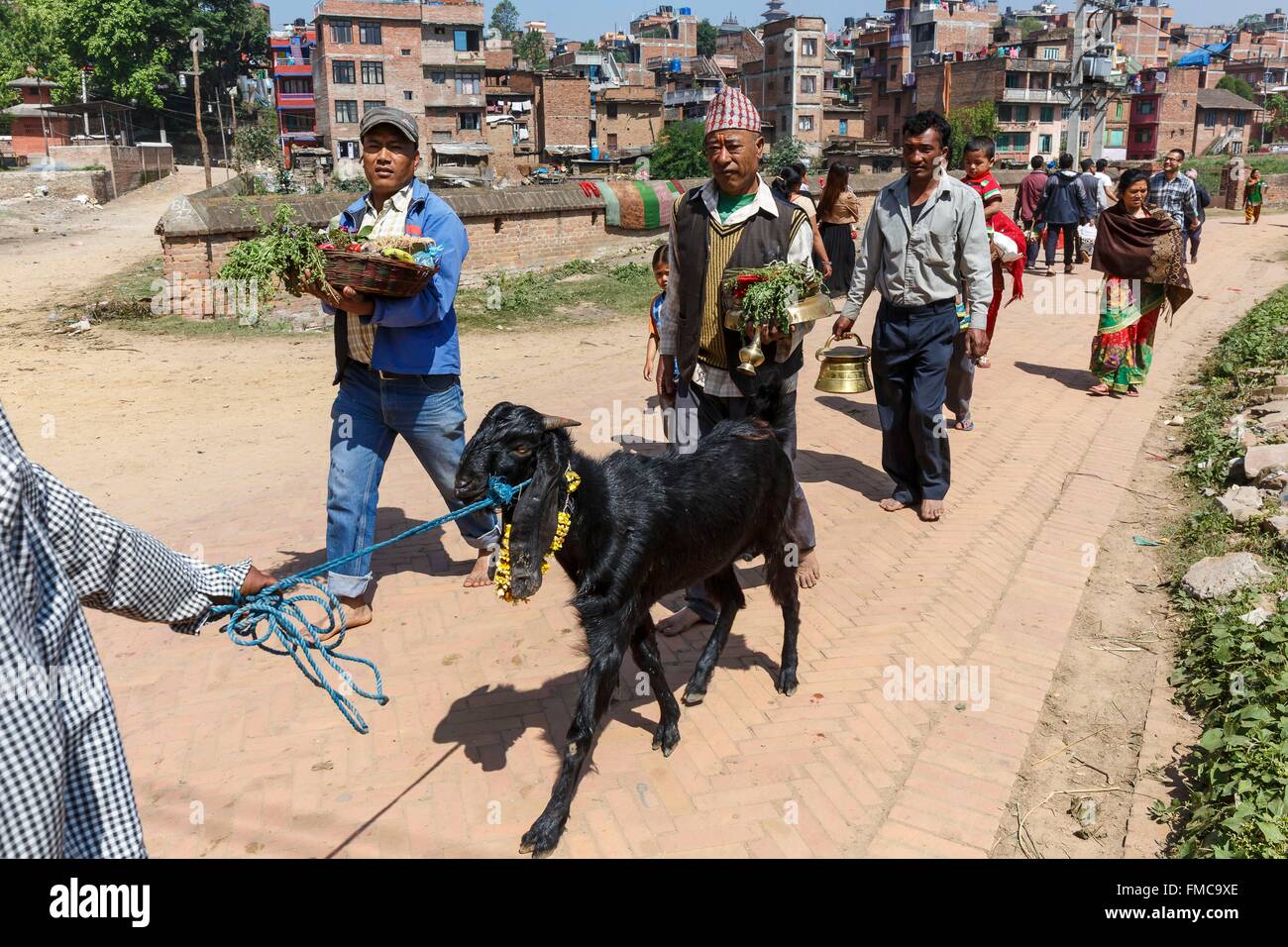 Il Nepal, zona di Bagmati, Bhaktapur, famiglia il disegno di una capra al tempio per il sacrificio Foto Stock