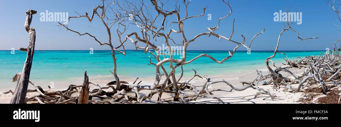 Cuba, Pinar del Rio, Vinales, Cayo Jutias, laguna di sabbia bianca e acqua turchese Foto Stock