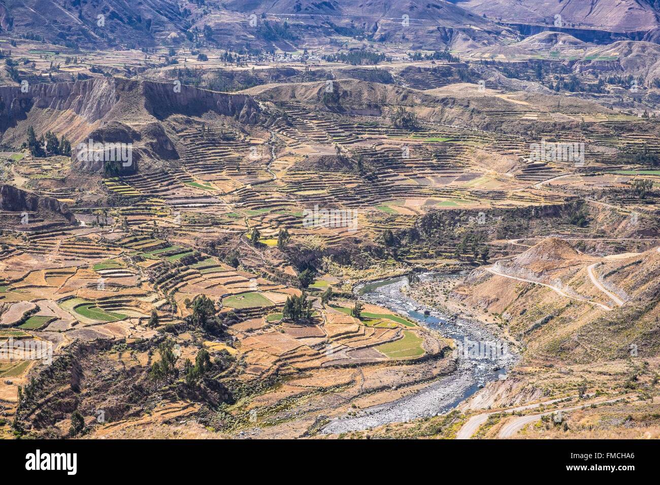 Il Perù, Provincia di Arequipa, Colca Valley nei dintorni di Chivay Foto Stock