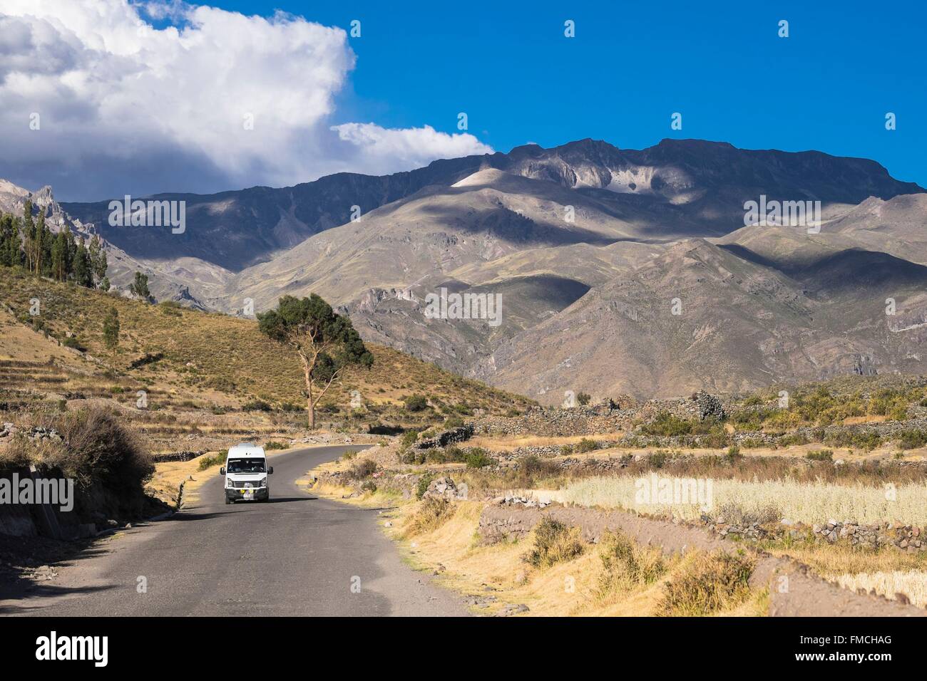 Il Perù, Provincia di Arequipa, Colca Valley vicino a Chivay village (alt : 3640m) Foto Stock