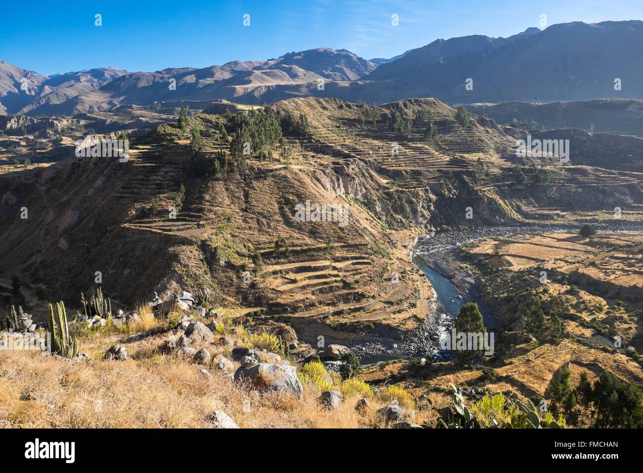 Il Perù, Provincia di Arequipa, Colca Valley vicino a Chivay village (alt : 3640m) Foto Stock