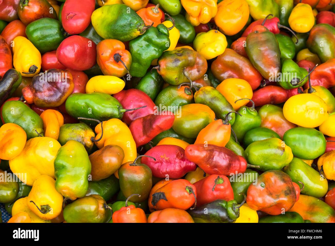 Perù Cusco Provincia, Cusco, elencati come patrimonio mondiale dall' UNESCO, mercato di strada vicino a San Pedro mercato, peperoncini rossi Foto Stock