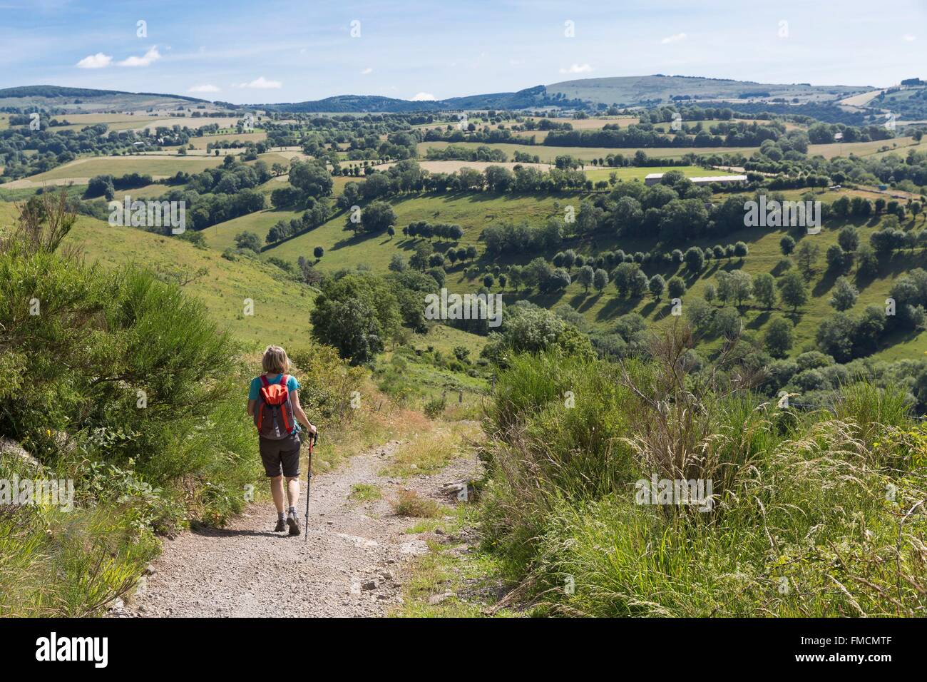 Francia, Aveyron, Laguiole, escursionista sull'altopiano di Aubrac Foto Stock