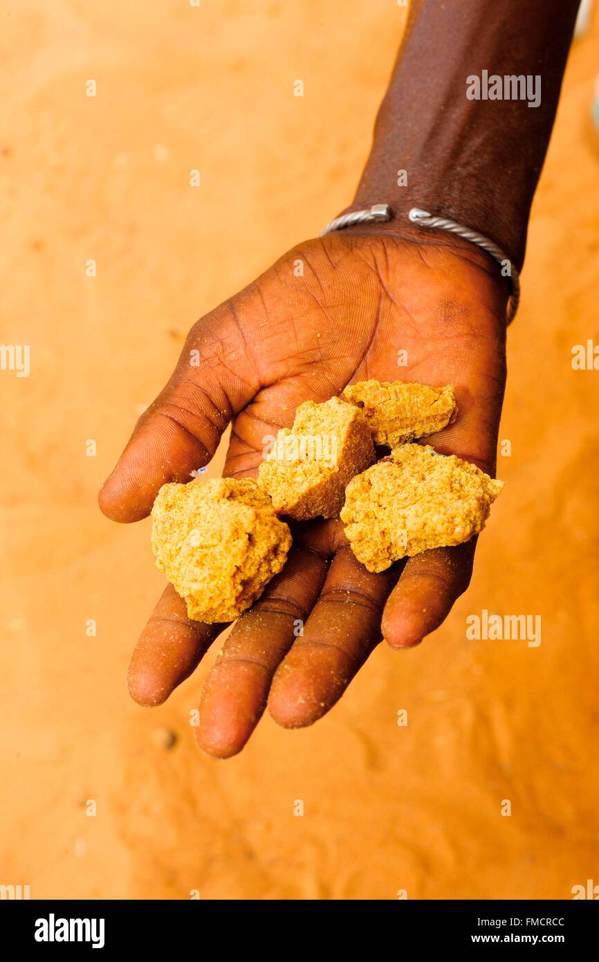 Il Senegal, il Sahel, regione Ferlo, Widou Thiengoly, torta Balanites Aegyptiaca Foto Stock