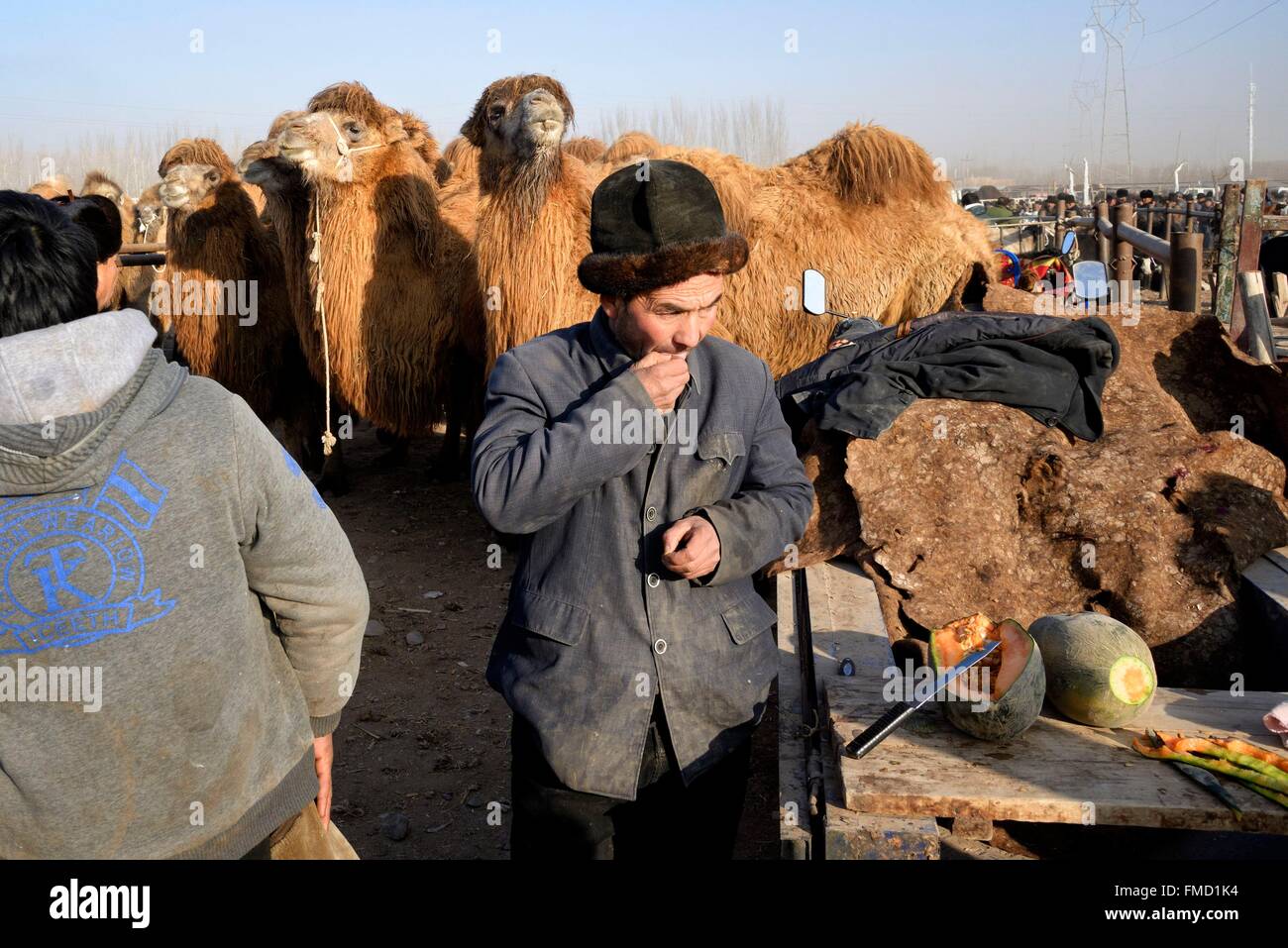 Cina, Xinjiang Uyghur Regione autonoma, Kashgar (Kashi), domenica Mercato del Bestiame, Bactrian camel Foto Stock