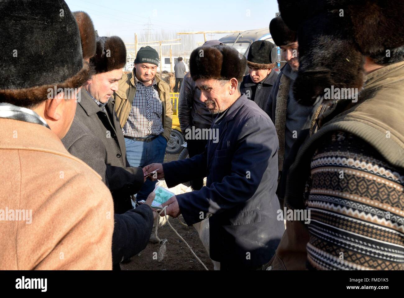 Cina, Xinjiang Uyghur Regione autonoma, Kashgar (Kashi), domenica Mercato del Bestiame Foto Stock