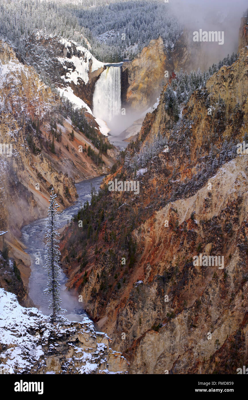 Le cascate Inferiori di Yellowstone River da Artist Point, il Parco Nazionale di Yellowstone, Wyoming Foto Stock