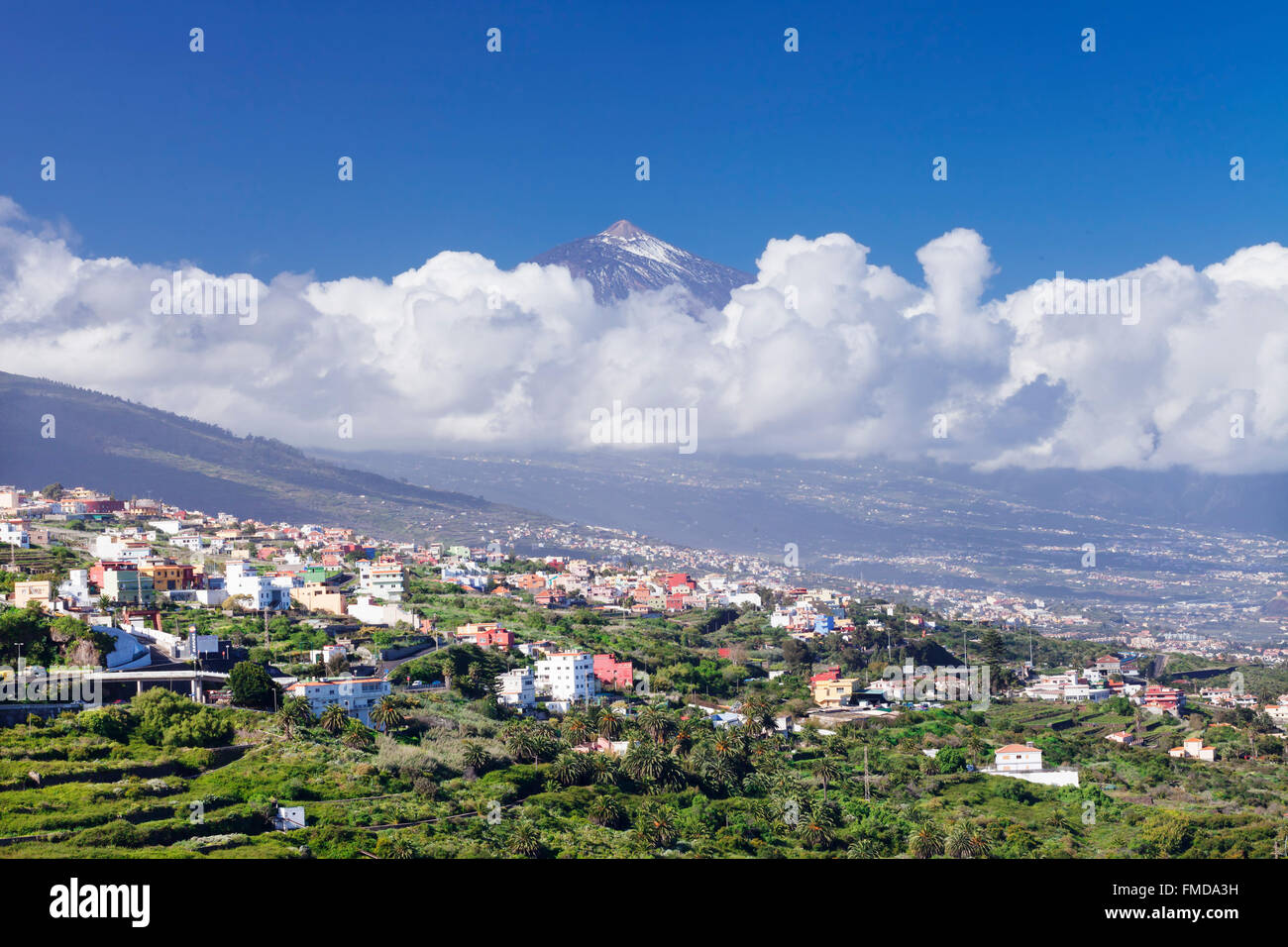 Vista sulla valle di Orotava sul Pico deTeide, Tenerife, Isole Canarie, Spagna Foto Stock