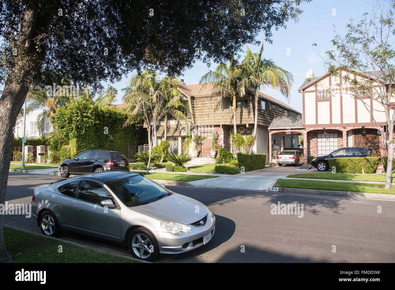 Casa,a,long,carraio,esclusivo, case, in Beverly Hills, Los Angeles,L.A.California,U.S.A.,California,U.S.A.,Stati Uniti d'America,Palma, Foto Stock