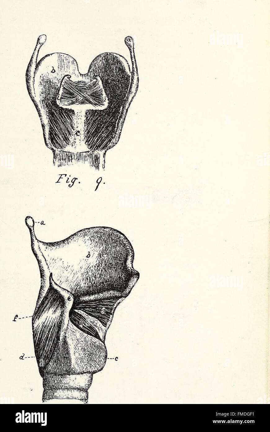 Education of Deaf-Mutes, pubblicato nel 1888, è una guida completa per gli insegnanti sui metodi e le strategie per educare le persone con disabilità uditive. Fornisce informazioni pratiche sulle tecniche di comunicazione, sulla gestione delle classi e su pratiche formative speciali per gli studenti non udenti. Foto Stock