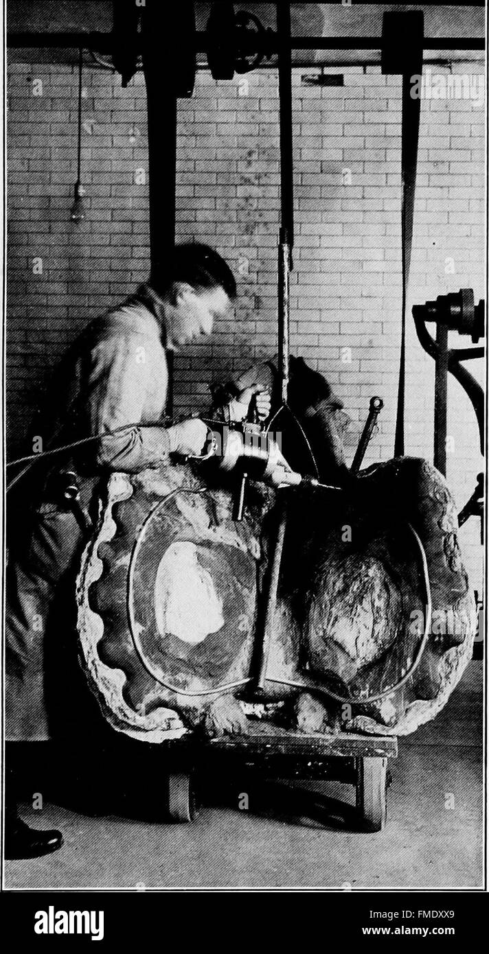"Hunting Dinosaurs in the Bad Lands of the Red Deer River" (1917) continua l'esplorazione di fossili di dinosauri in Alberta, Canada. Il lavoro descrive le spedizioni nelle Badlands, offrendo un resoconto dettagliato della scoperta di dinosauri e della caccia ai fossili in questa regione ricca di fossili. Foto Stock