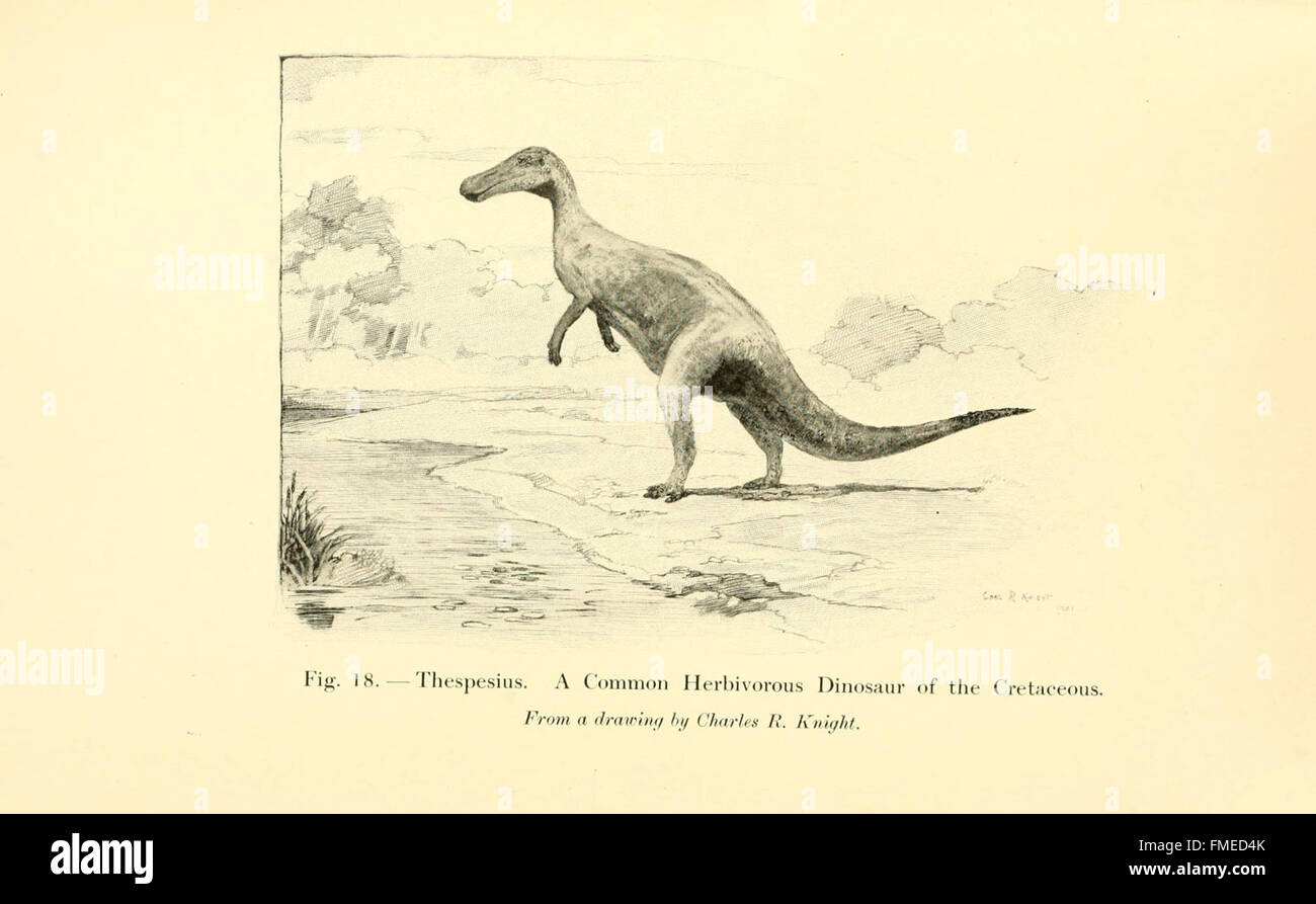 La figura 16 di "animali del passato" presenta una ricostruzione di specie animali estinte, che offre informazioni sulla vita preistorica e contribuisce alla ricerca paleontologica sulla fauna estinta. Foto Stock