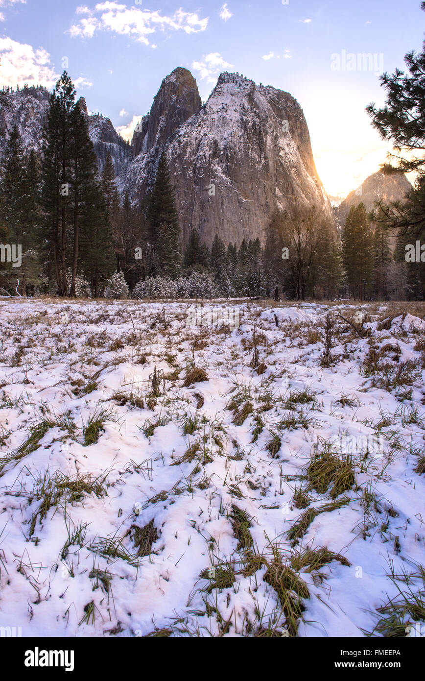 Bella collina in inverno, il Parco Nazionale di Yosemite Foto Stock