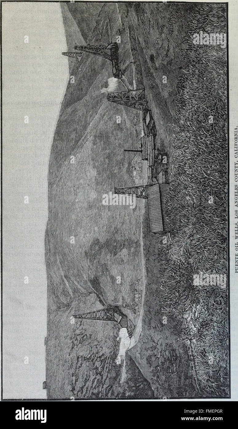 Relazione annuale dello stato mineralogista per l'esercizio chiuso (1883) Foto Stock