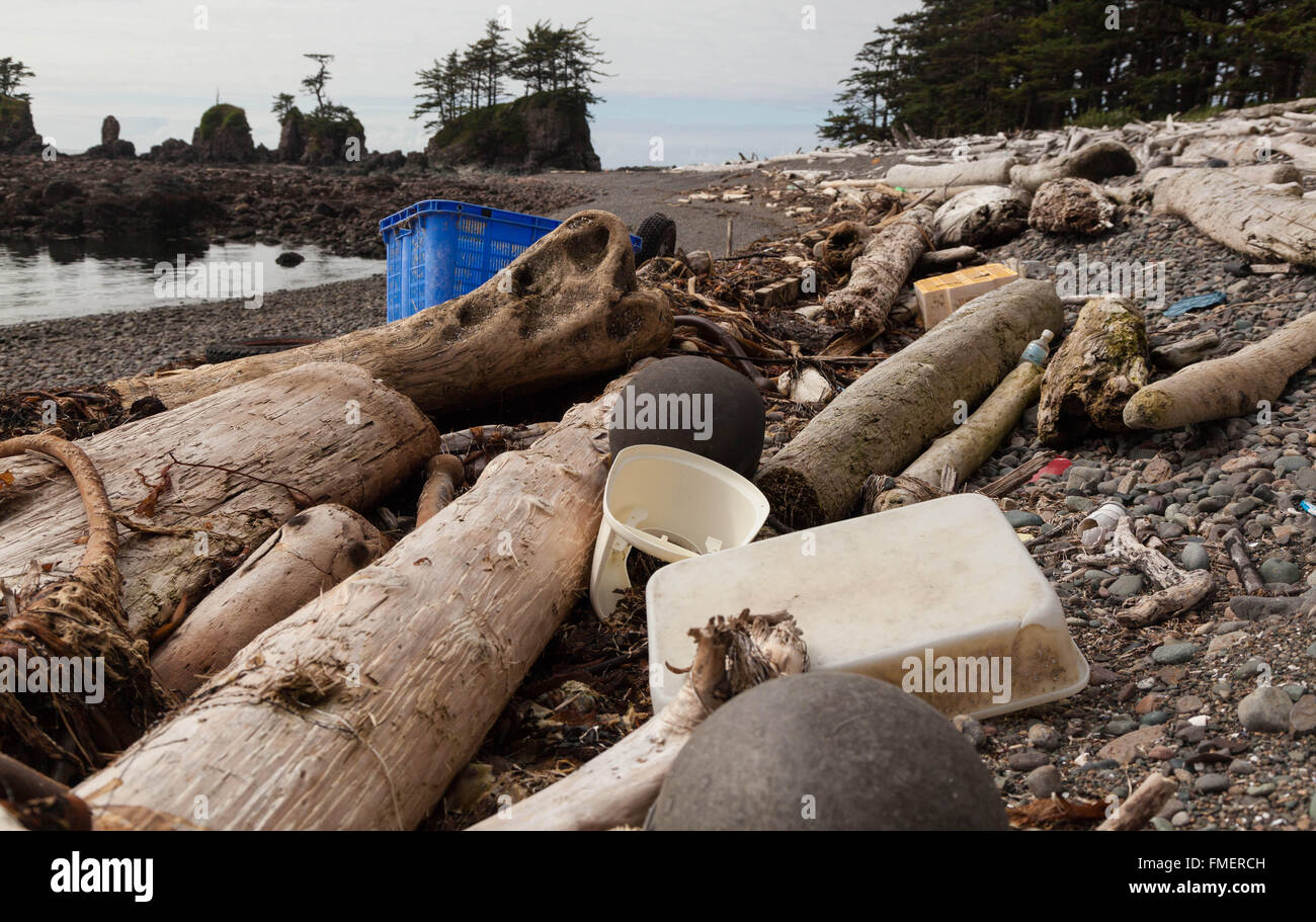 Lavato in plastica fino a spiaggia remota, Cape Scott Provincial Park, l'isola di Vancouver, British Columbia Foto Stock