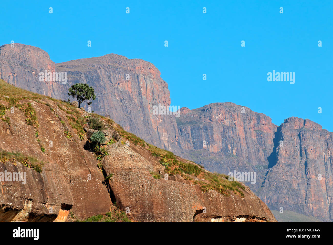 Scenic Drakensberg paesaggio di montagna, giganti Castle riserva naturale, Sud Africa Foto Stock