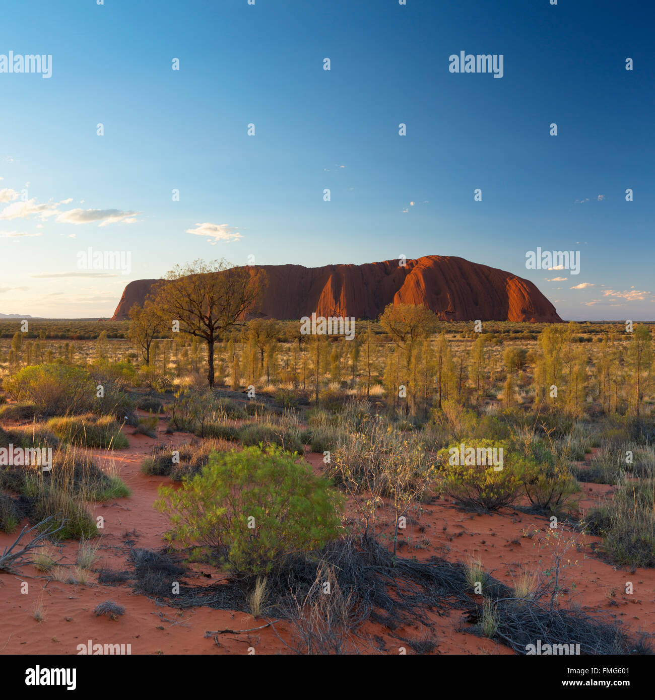 Uluru (Patrimonio Mondiale dell'UNESCO), Uluru-Kata Tjuta National Park, il Territorio del Nord, l'Australia Foto Stock