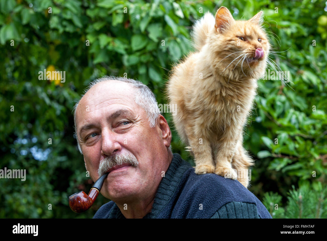 Uomo anziano che fuma una pipa con un gatto domestico sulla spalla, un gatto seduto sulla schiena solitudine in vecchiaia e un amico peloso Foto Stock