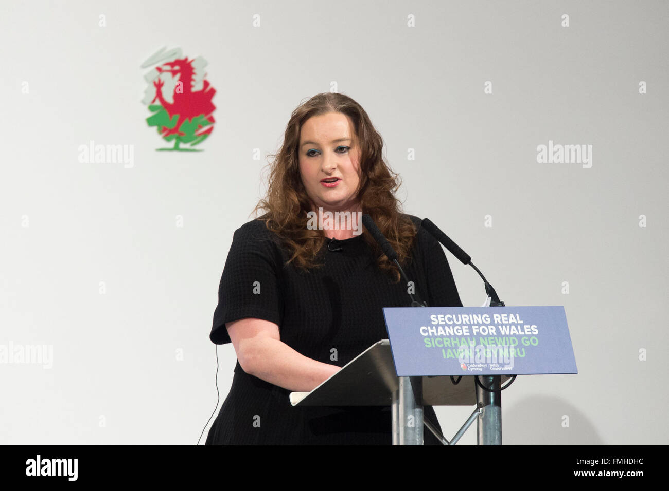 Jayne Cowan AM conservatore candidato per Cardiff North in Welsh Assembly elezioni. Foto Stock