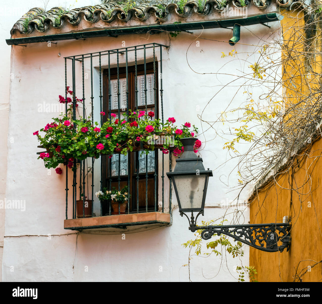 Il pittoresco angolo del quartiere di Santa Cruz, Siviglia, Andalusia, Spagna Foto Stock