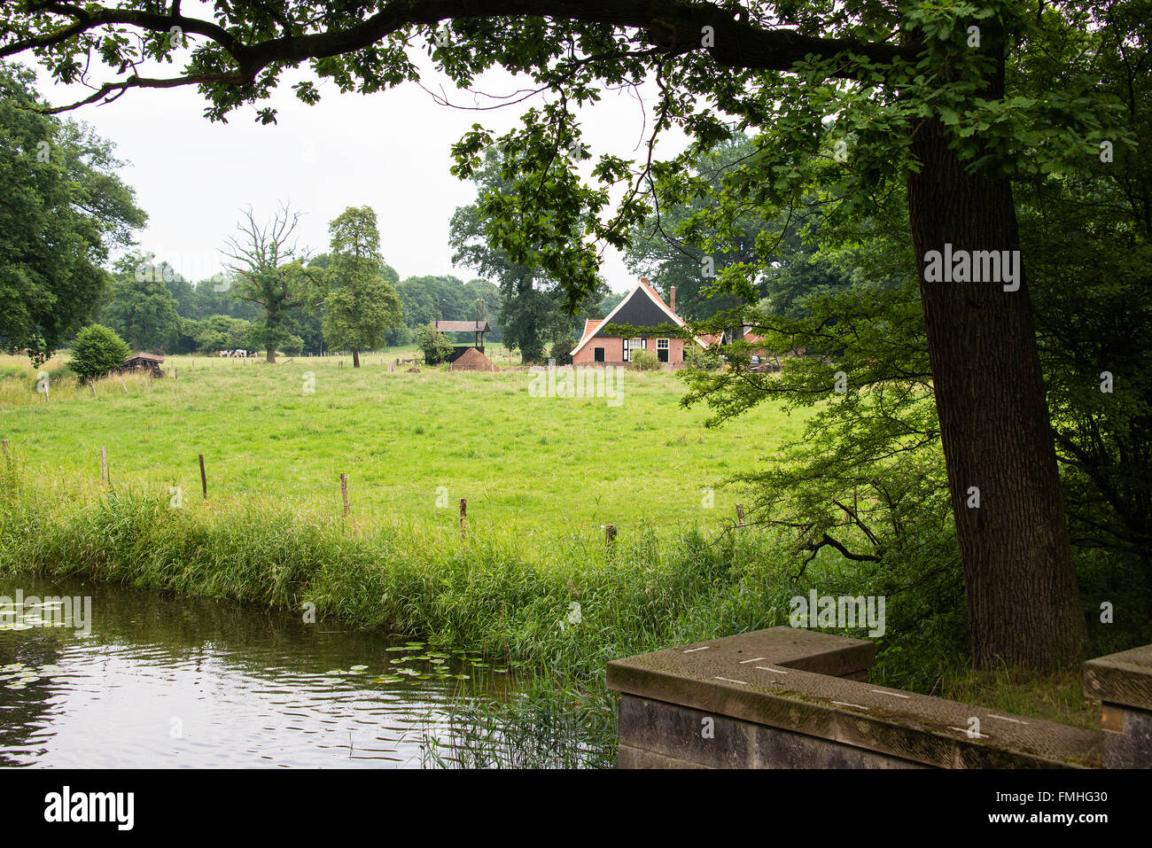 Gli agricoltori house con erba verde campo e albero su fourground vicino a un piccolo fosso Foto Stock