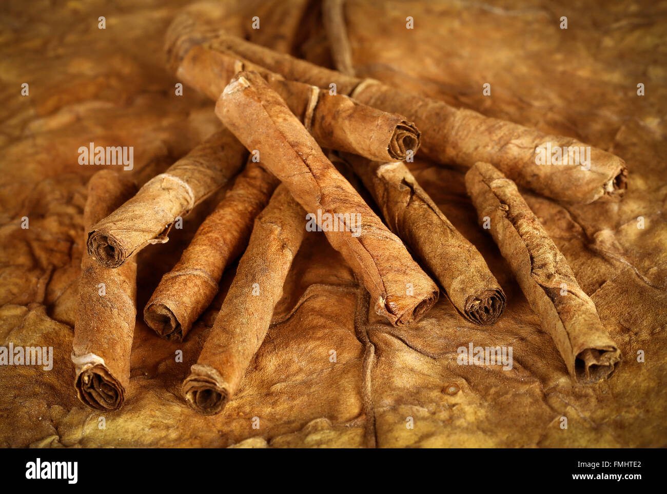 Primo piano di alcuni secchi laminati di foglie di tabacco Foto Stock