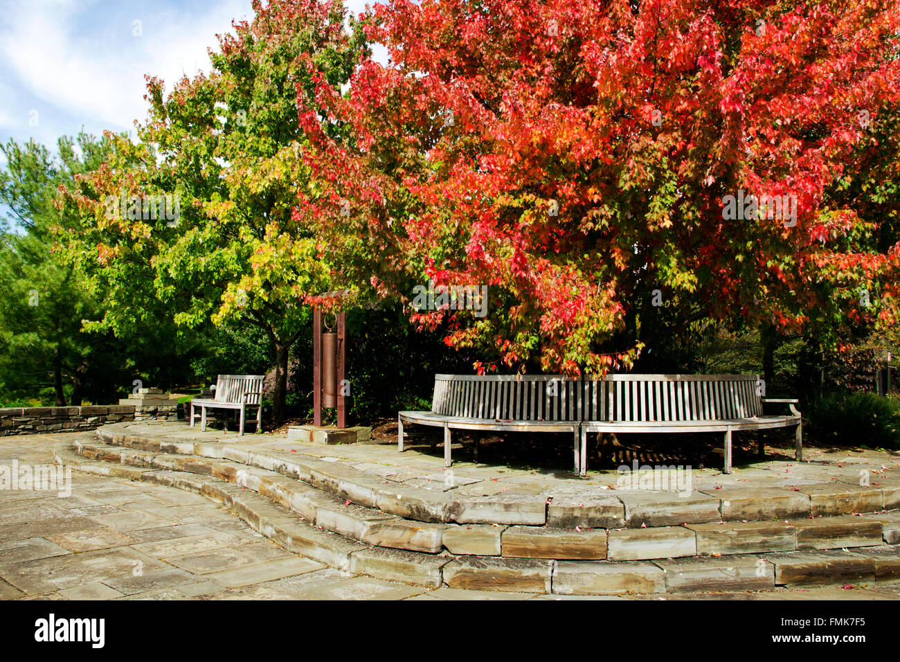Svuotare una panchina nel parco con nessun popolo sotto la caduta di alberi presso la Cornell arboreto, regione dei laghi Finger, ithaca Tompkins County central new york stati uniti d'America. Foto Stock