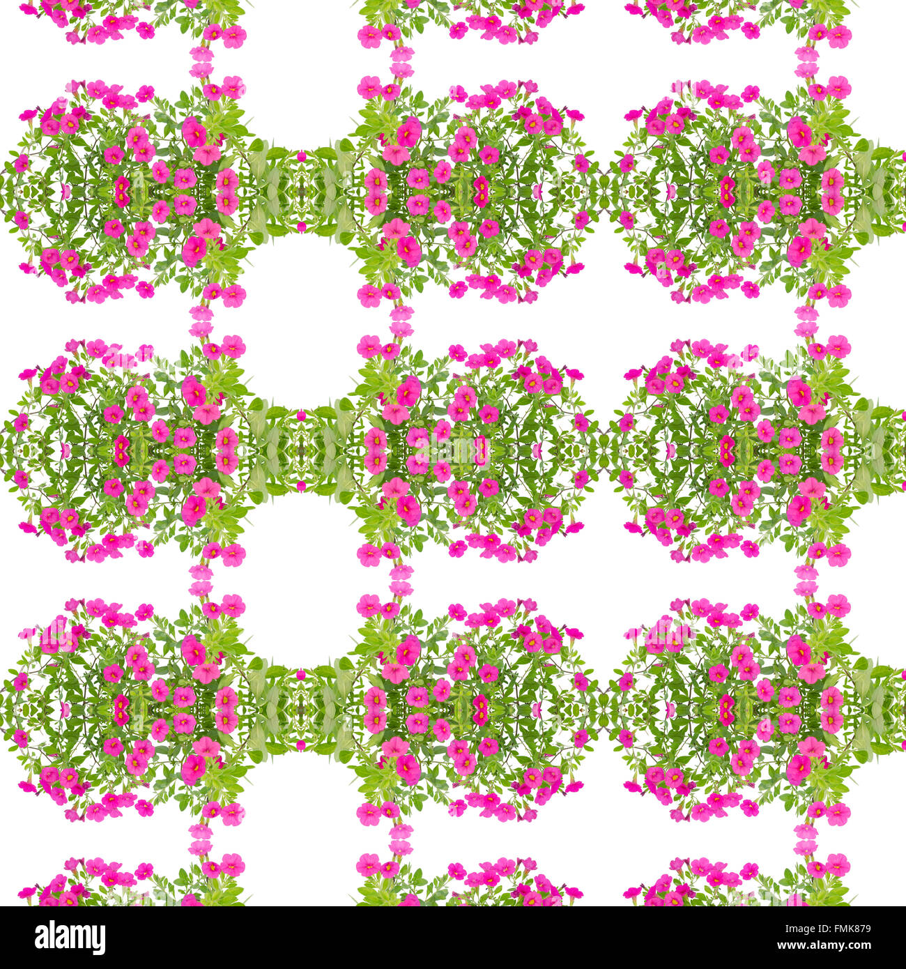 La petunia seamless sfondo pattern Foto Stock