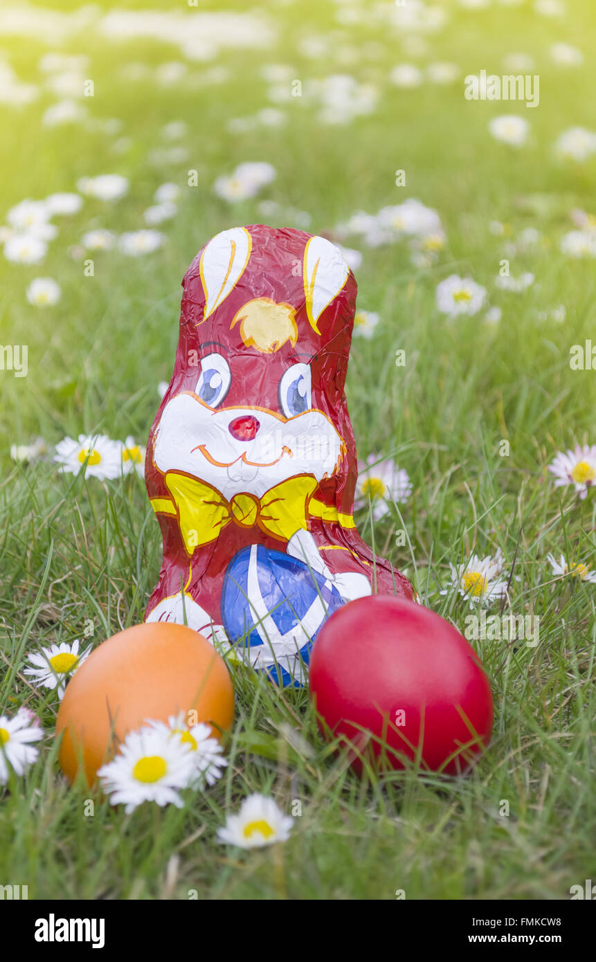 Avvolto coniglio di cioccolato con le uova di Pasqua nel prato pieno di fiori a margherita in verticale Foto Stock