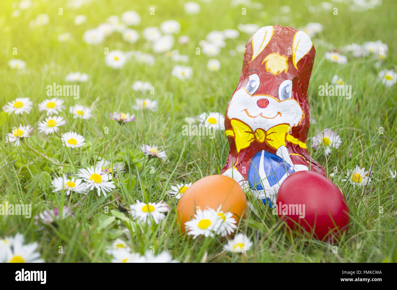 Avvolto coniglio di cioccolato con le uova di Pasqua nel prato pieno di fiori a margherita in orizzontale Foto Stock