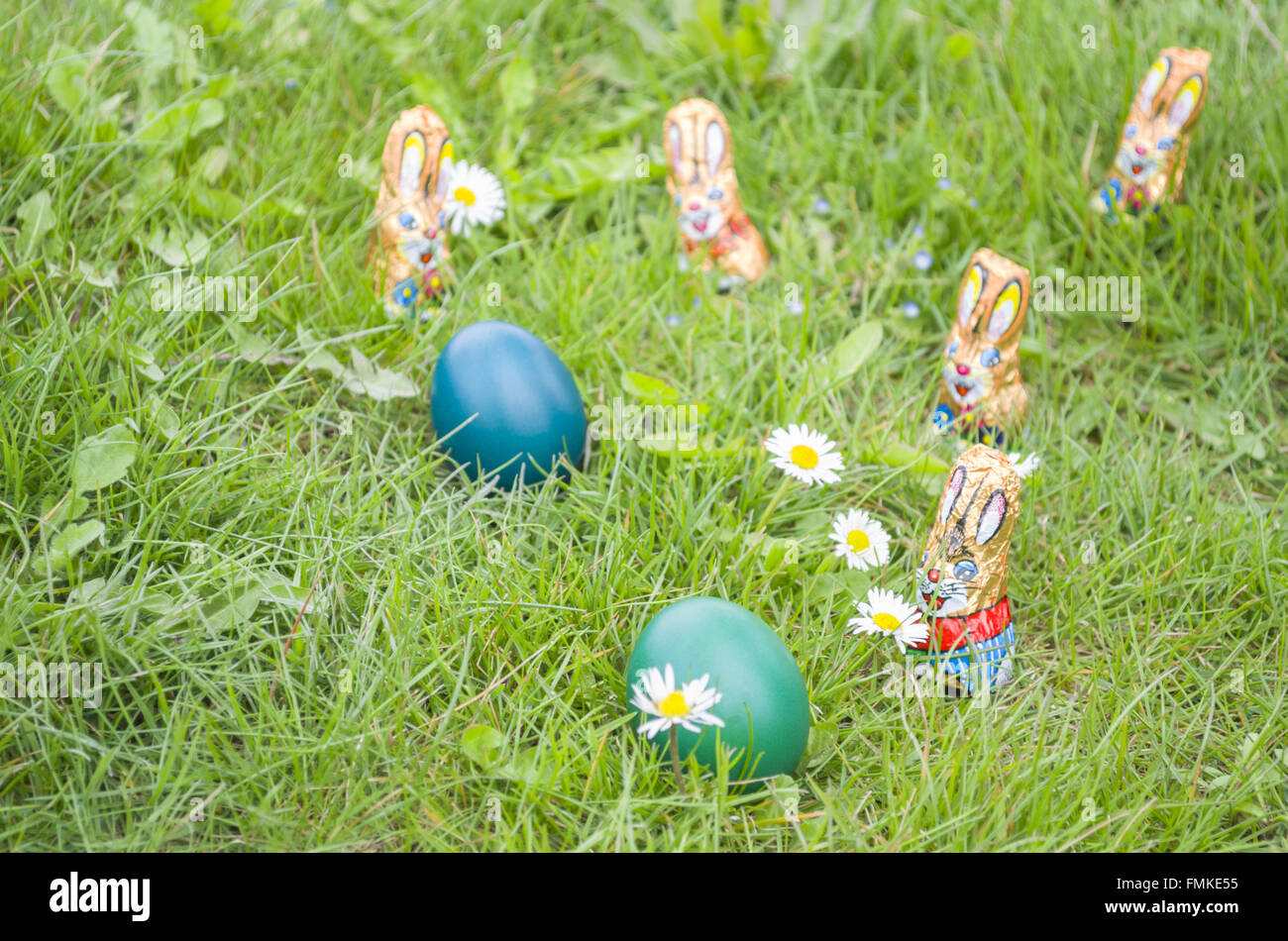Poco avvolto coniglietti di cioccolato con le uova di Pasqua e fiori a margherita in erba Foto Stock