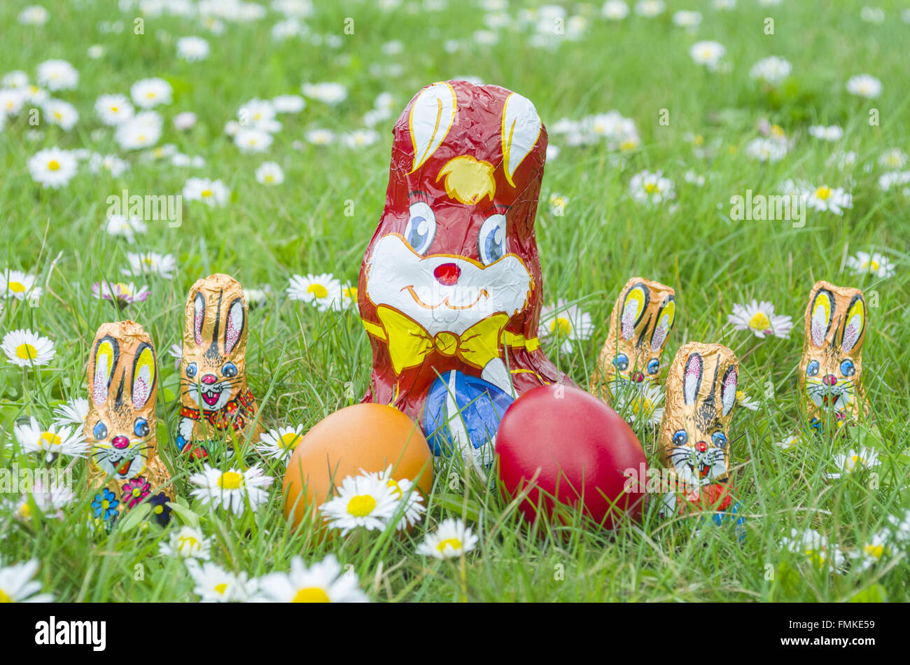 Avvolto Il cioccolato Bunny famiglia con le uova di Pasqua nel prato pieno di fiori a margherita Foto Stock