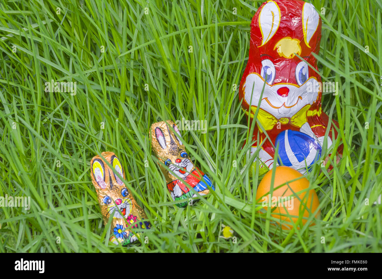 Avvolto Il cioccolato Bunny famiglia con uovo di pasqua nascosto nel grande prato verde Closeup Foto Stock