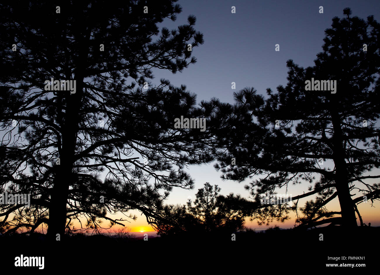 Tramonto in Cleveland National Forest, California, Stati Uniti d'America Foto Stock