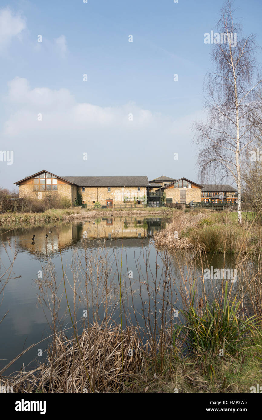 Il London Wetland Centre a Barnes, Londra sud-occidentale, Inghilterra, Regno Unito Foto Stock