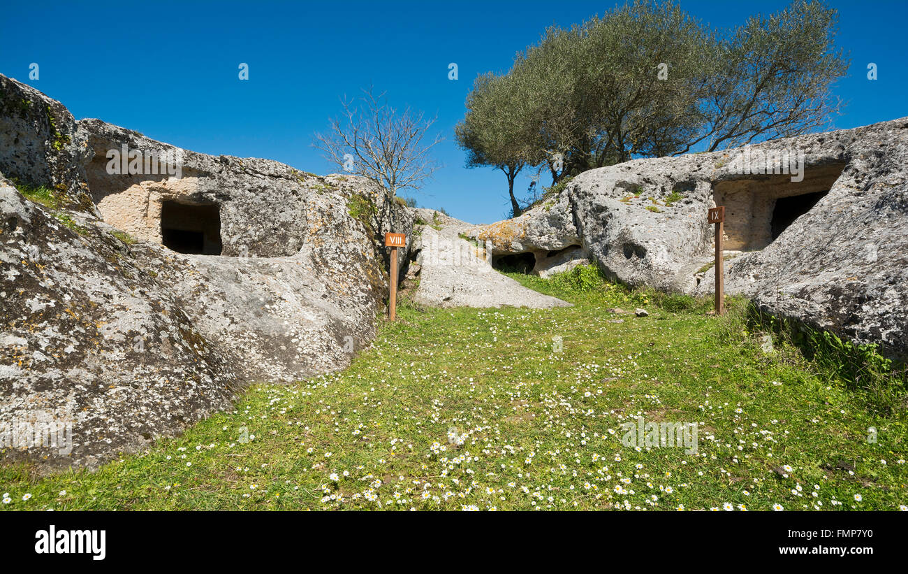 Rock cut tombe Domus de Janas, Casa delle Fate, Pottu Codinu, Villanova Monteleone, Sardegna, Italia Foto Stock