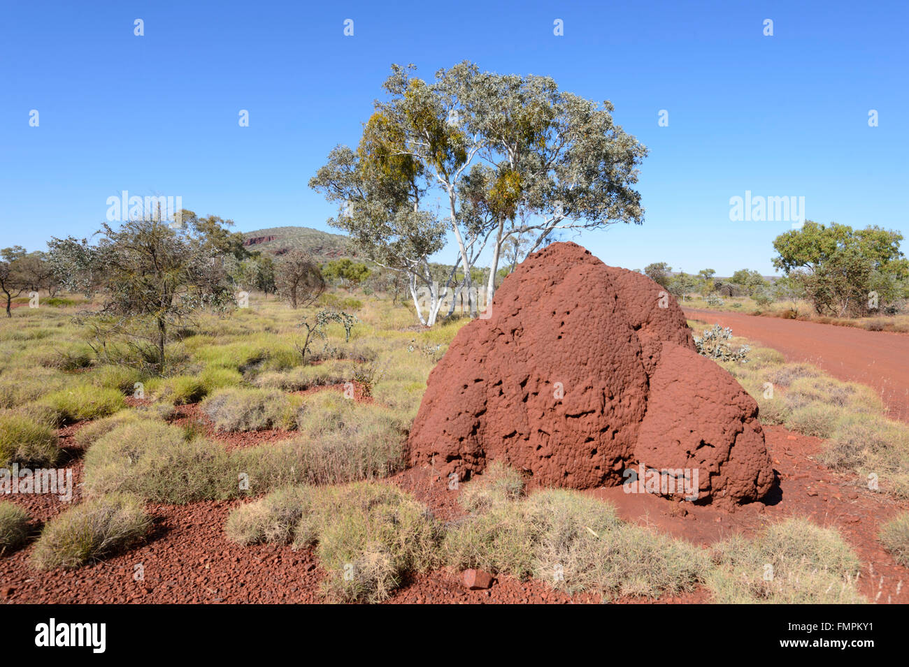 Termite Mound e Spinifex, Karijini National Park, Pilbara, Western Australia, WA, Australia Foto Stock