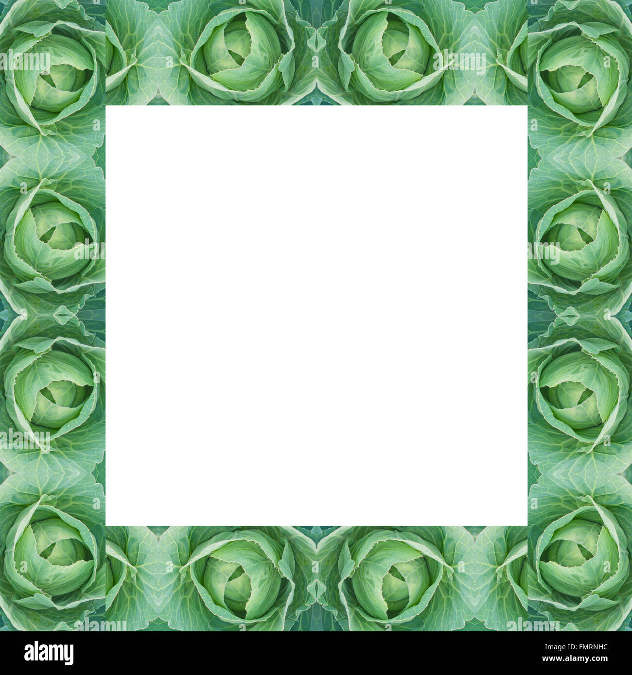Cavolo verde telaio isolato su sfondo bianco Foto Stock