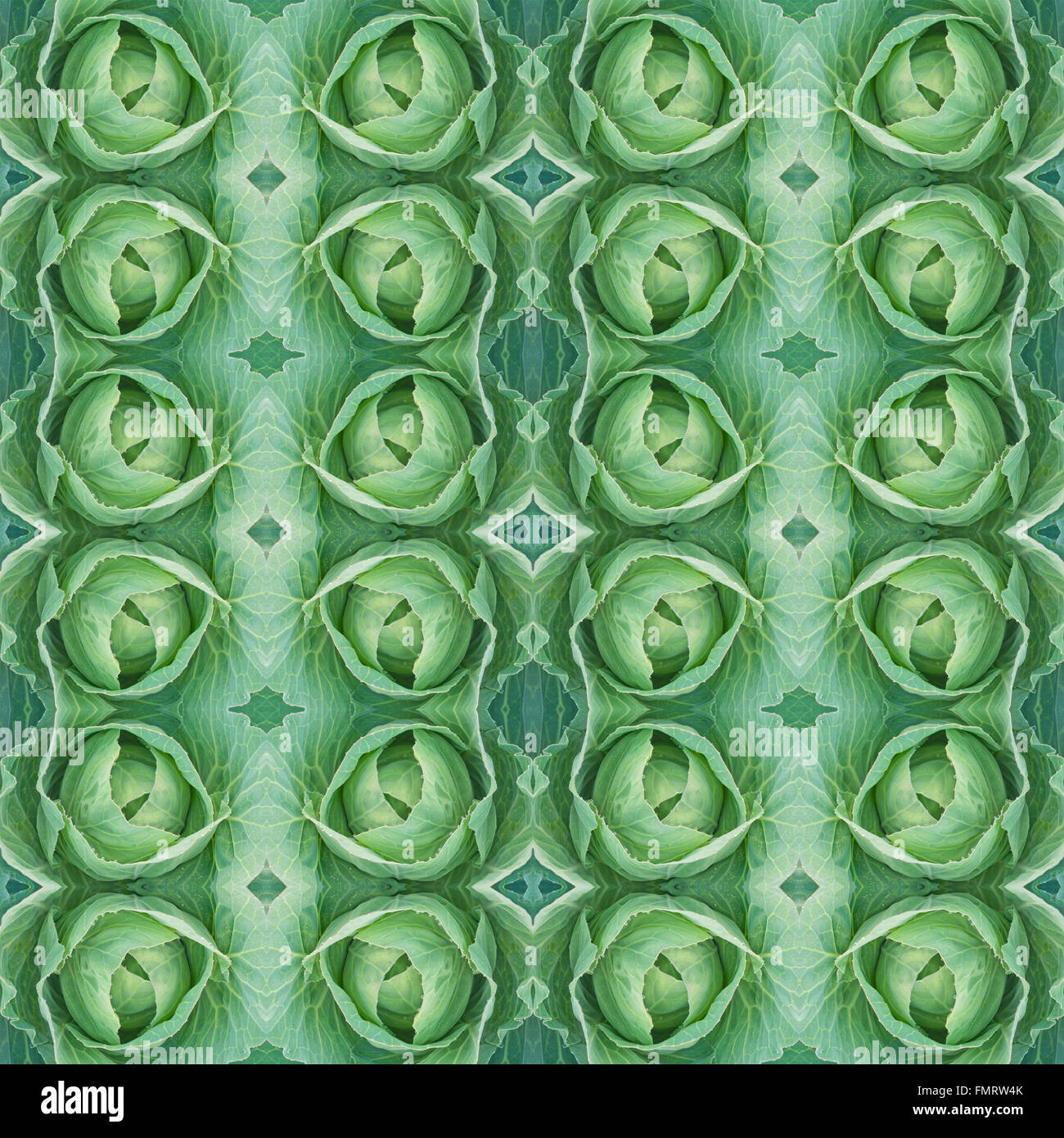 Cavolo verde seamless sfondo pattern Foto Stock