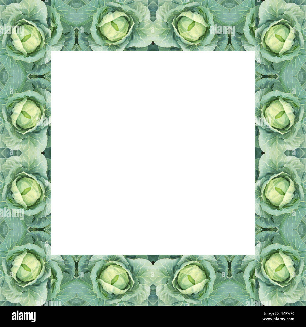Cavolo verde telaio isolato su sfondo bianco Foto Stock
