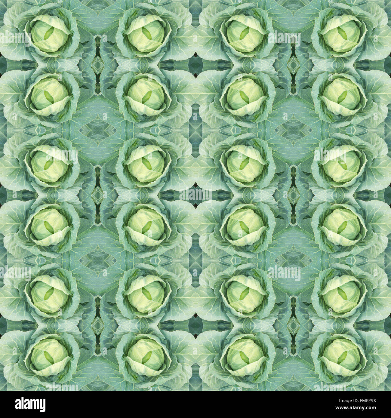 Cavolo verde seamless sfondo pattern Foto Stock