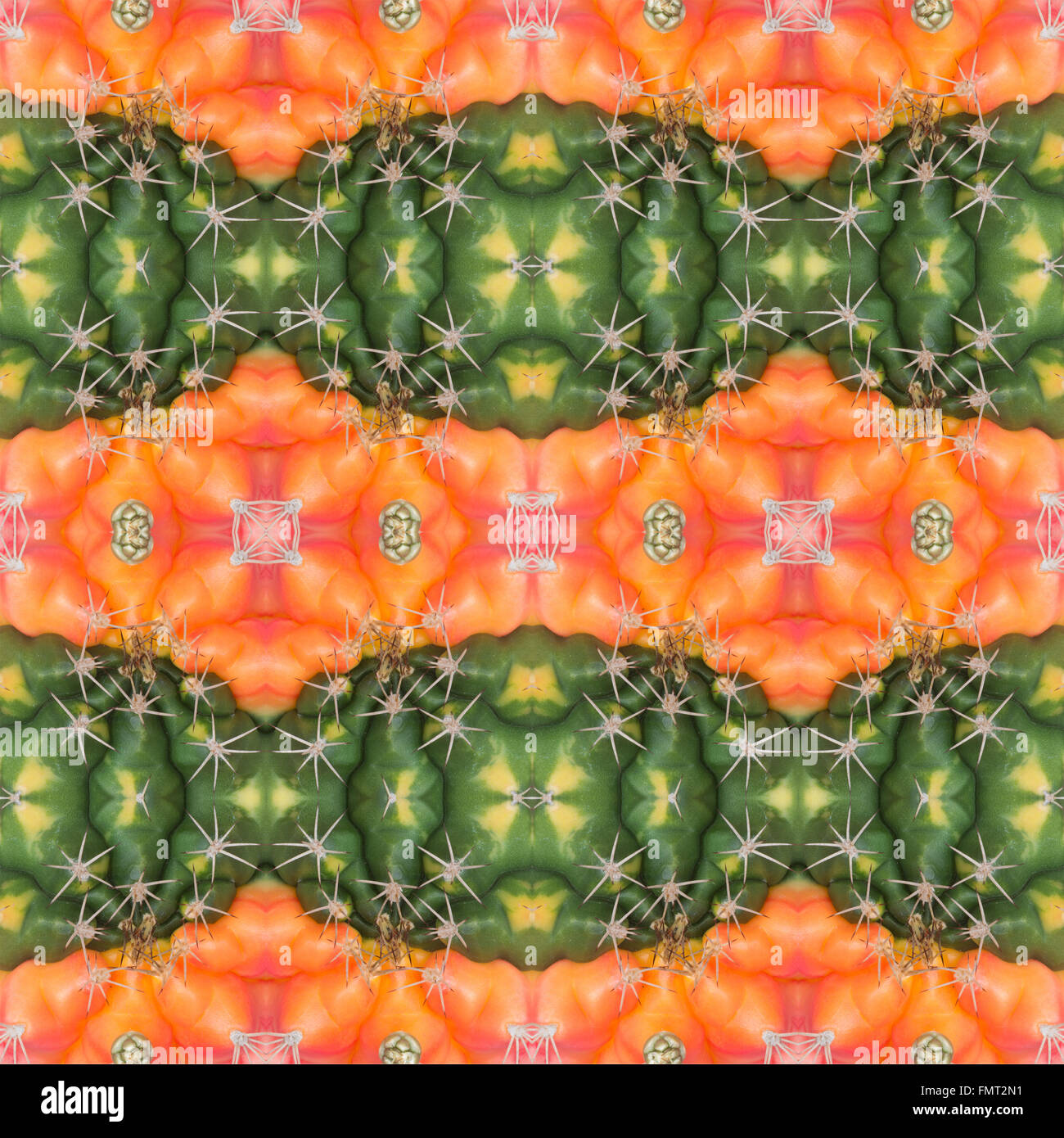 Piante succulente pattern seamless sfondo Foto Stock
