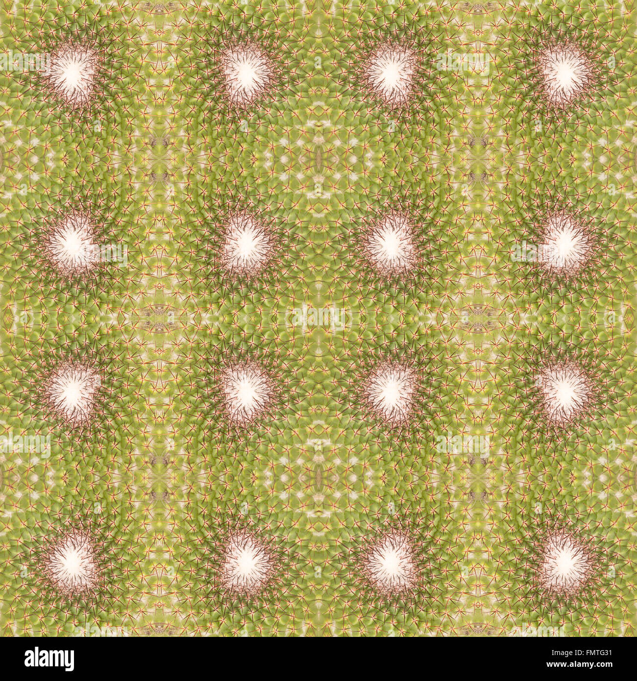 Piante succulente pattern seamless sfondo Foto Stock