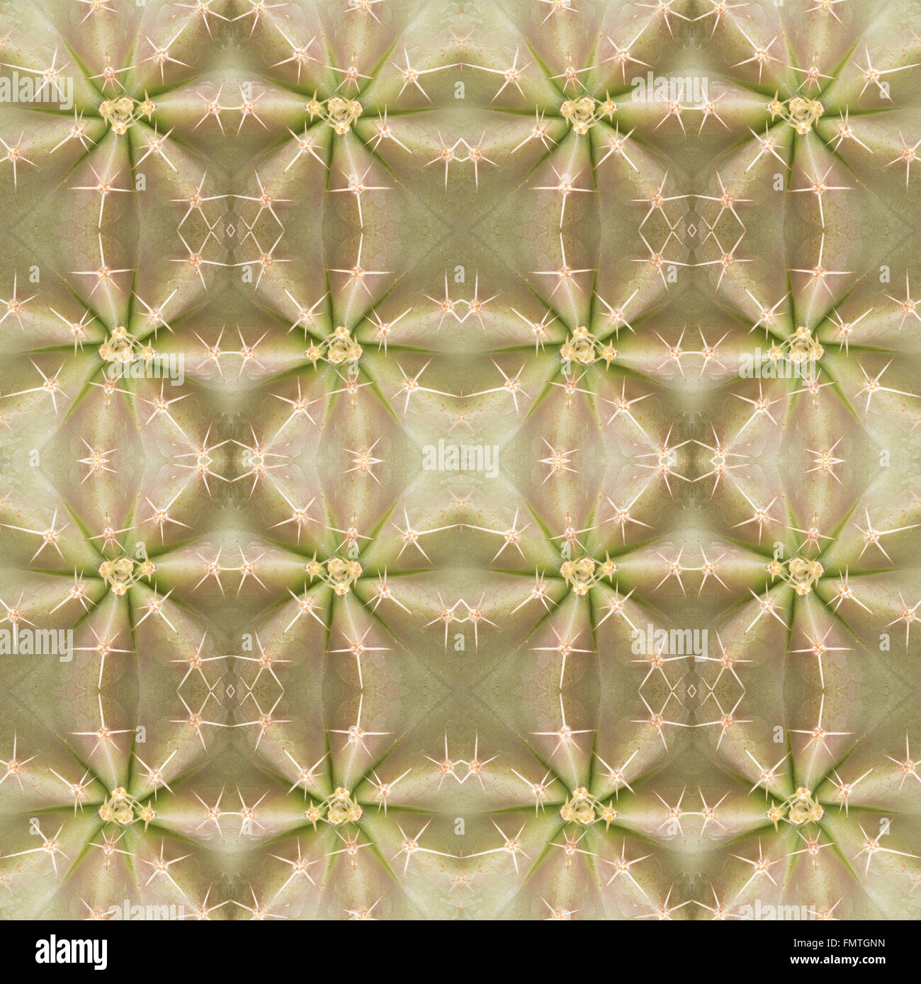 Piante succulente pattern seamless sfondo Foto Stock