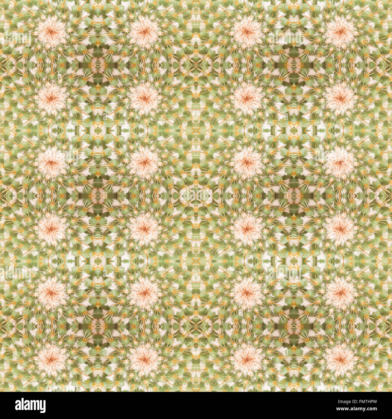 Piante succulente pattern seamless sfondo Foto Stock