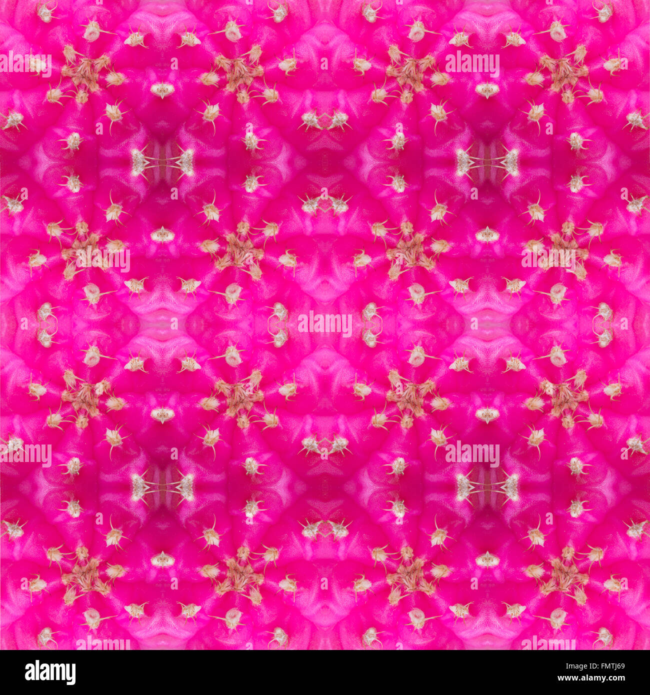 Piante succulente pattern seamless sfondo Foto Stock